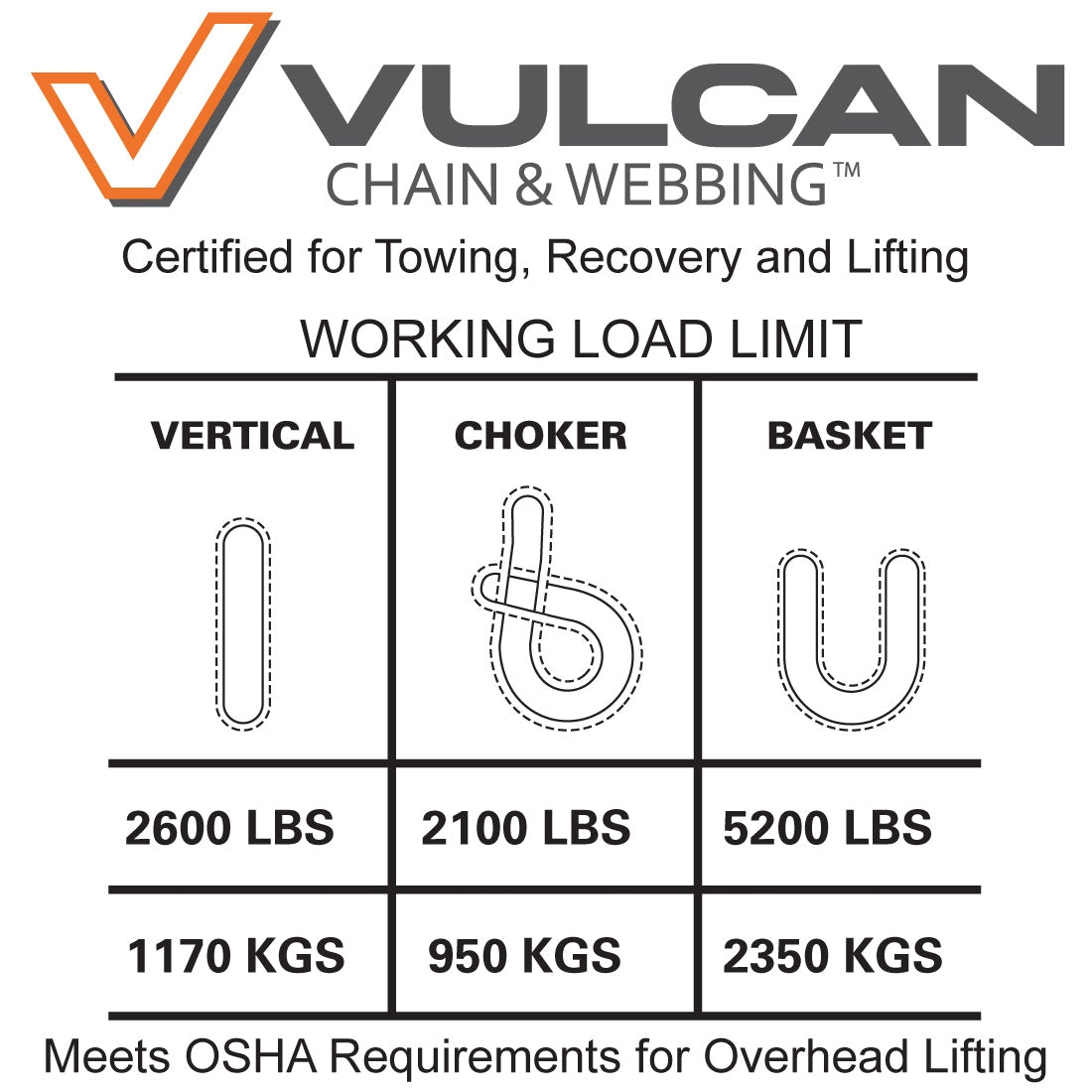 VULCAN Round Sling - Light Duty - 4 Foot - Purple - Safe Working Load of 2,600 Lbs. (V) - 2,100 Lbs. (C) and 5,200 Lbs. (B)